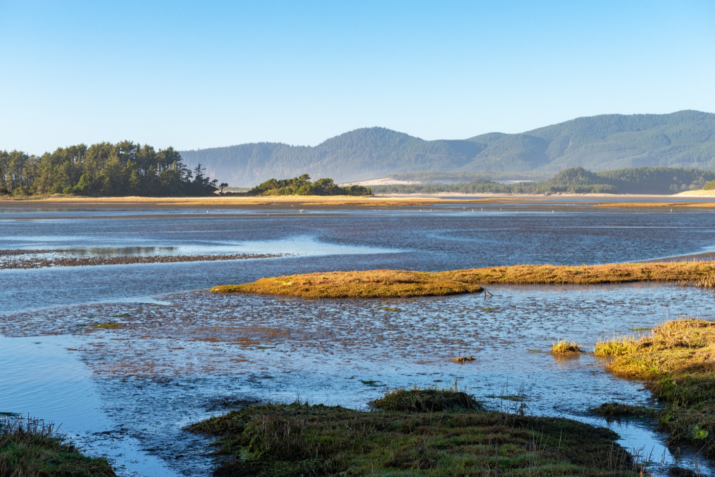 Coastal estuary landscape at Sitka Sedge