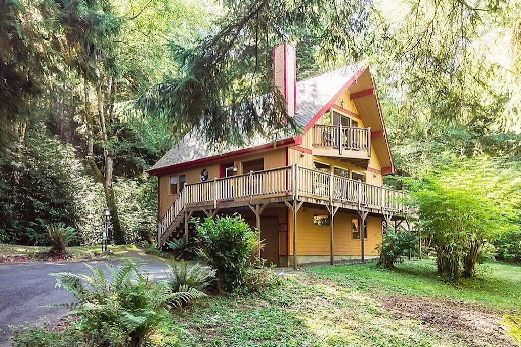 Chez Nous Chalet surrounded by ferns and tall evergreen trees